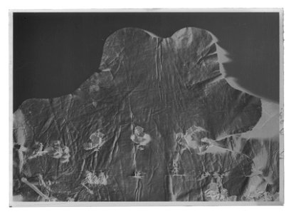 Skinn - Livrustkammaren - 18384-negative