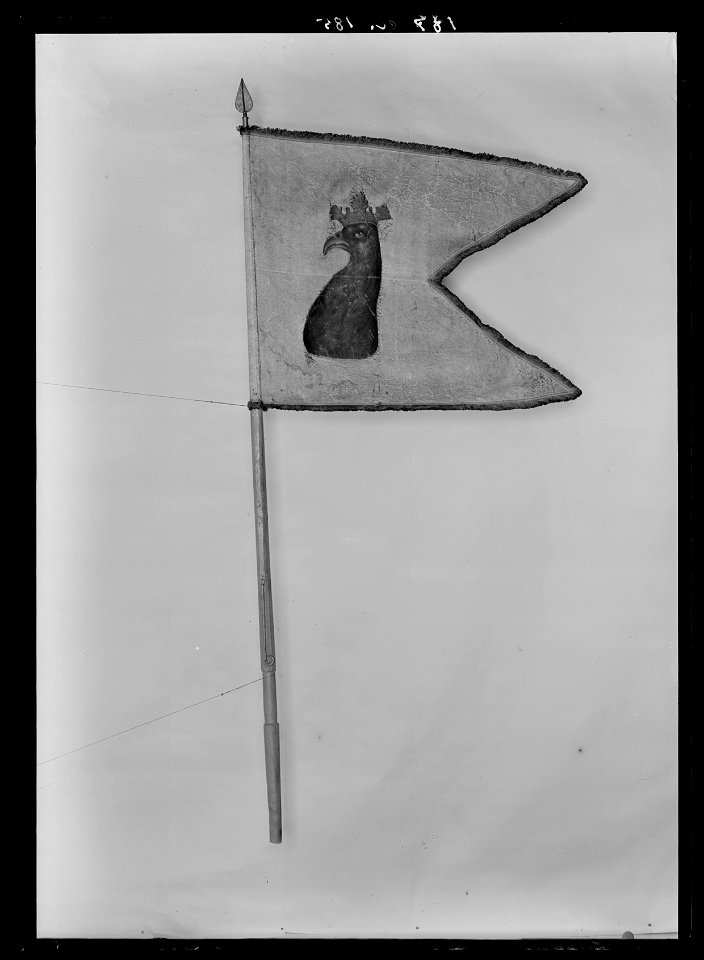 Skånsk dragonfana - Livrustkammaren - 77446