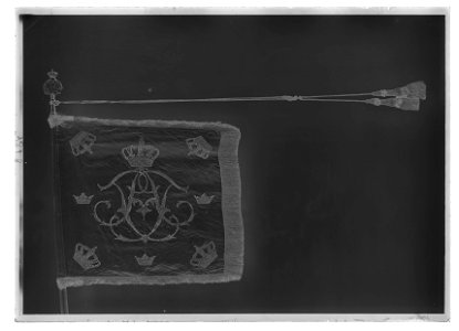 Skvadronstandar Borgerskapets kavalleri - Livrustkammaren - 68893-negative