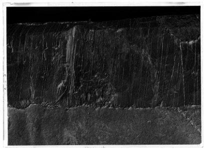 Sköld till begravningsvapen, Strängnäs domkyrka - Livrustkammaren - 52339-negative