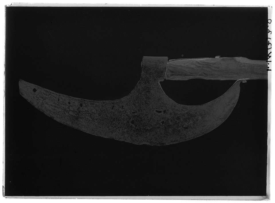 Skäggyxa, guisarme, 1500-1600-tal - Livrustkammaren - 18882-negative