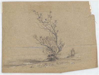 Small girl standing next to a cluster of trees at the edge of the Delaware River LCCN2016648672