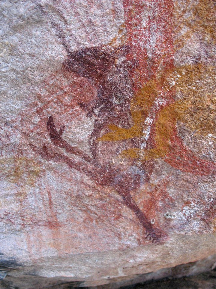 Small purple wallaby - Google Art Project