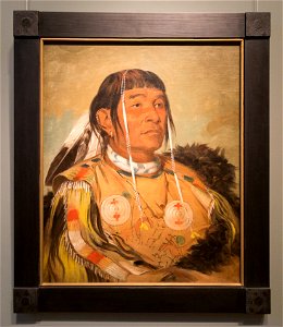 Smithsonian-Catlin-Sha-có-pay-The Six-2074