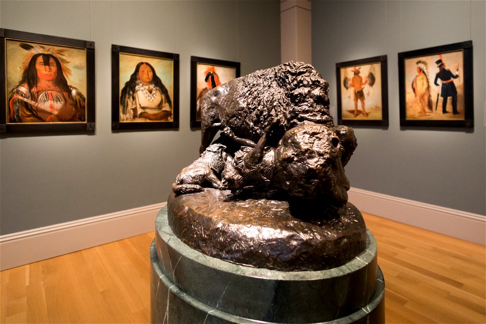 Smithsonian-Kemeys-Buffalo and Wolves-2080