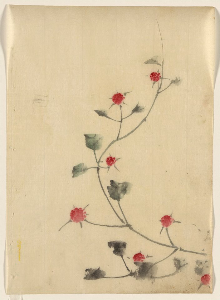 Small red blossoms on a vine LCCN2009631954