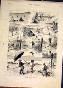 Small Sport in India, 1882