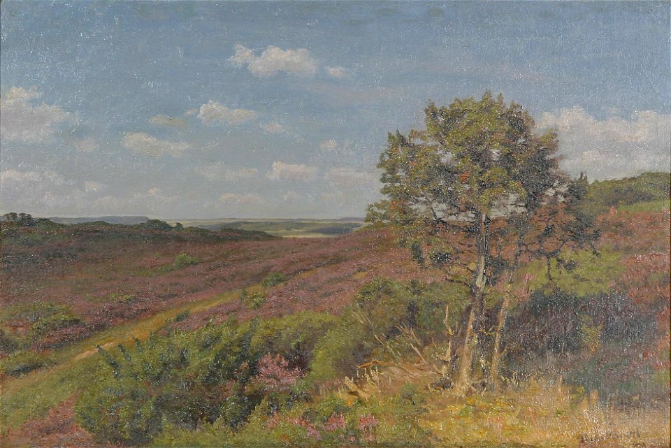 Hans Smidth - Lyngbakker