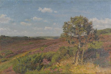 Hans Smidth - Lyngbakker