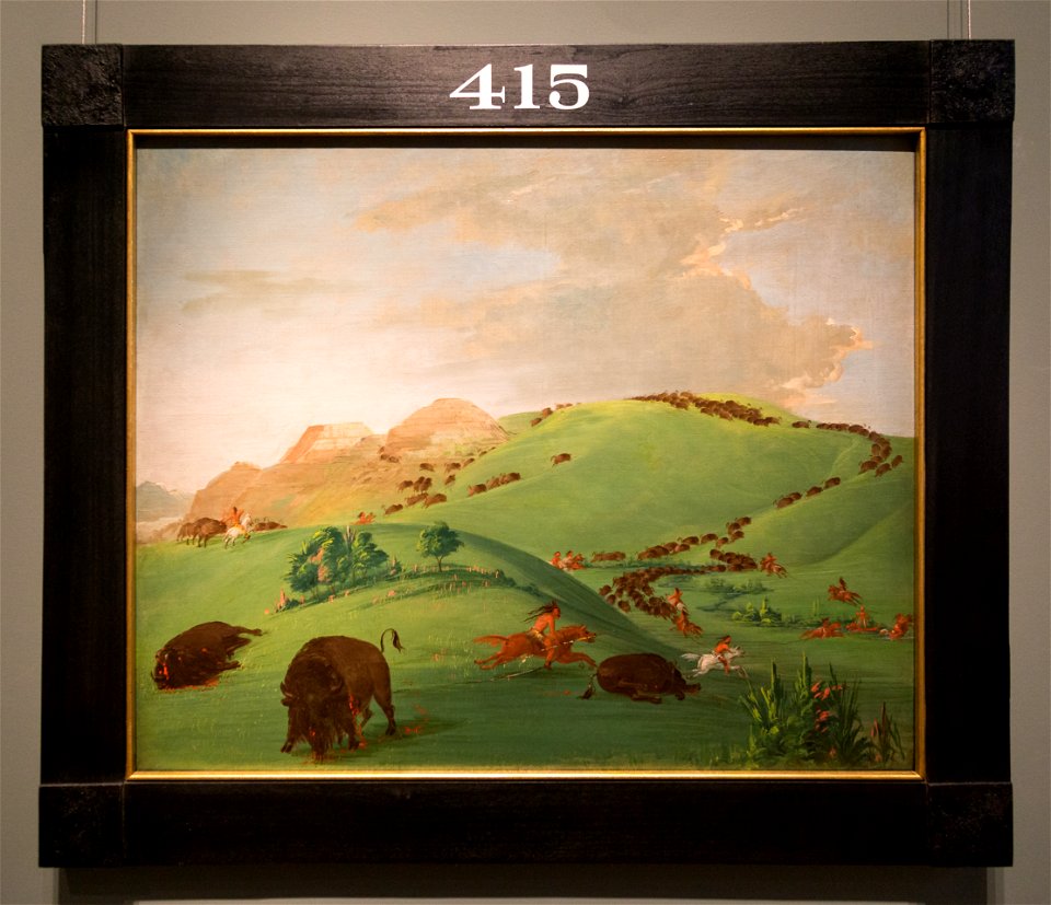Smithsonian-Catlin-Buffalo Chase-2063