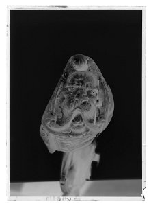 Snapplåsbössa - Livrustkammaren - 52551-negative