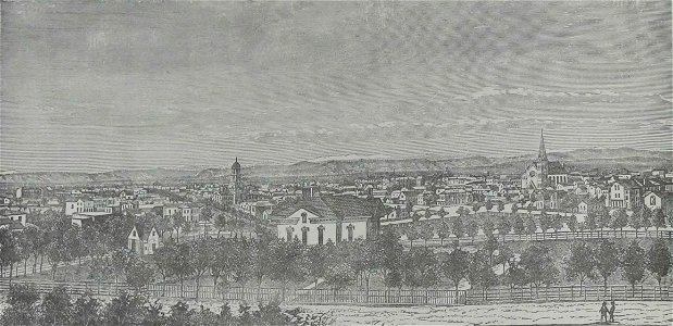 Société de Saint-Augustin - Album des missions catholiques (page 100 crop)
