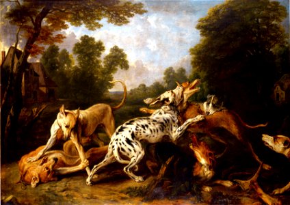 Snyders Dogs fighting