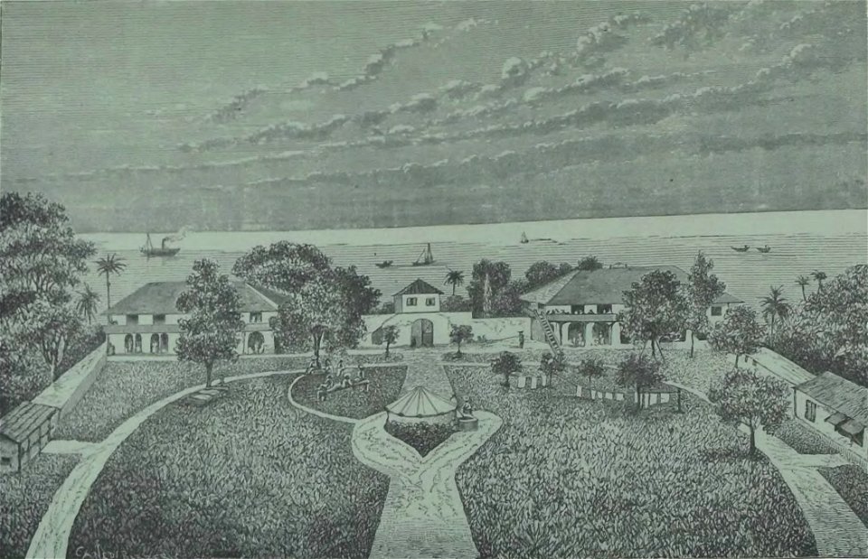 Société de Saint-Augustin - Album des missions catholiques (page 126 crop)