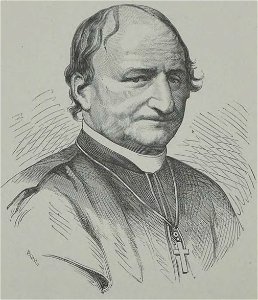 Société de Saint-Augustin - Album des missions catholiques (page 123 crop)
