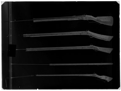Snapplåslodbössa, batteri, utfjäderslås, sälbössa - Livrustkammaren - 59964-negative
