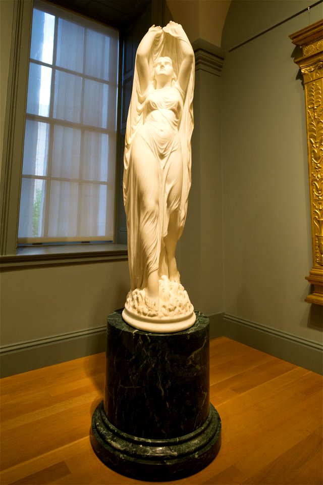 Smithsonian-Ives-Undine-2180