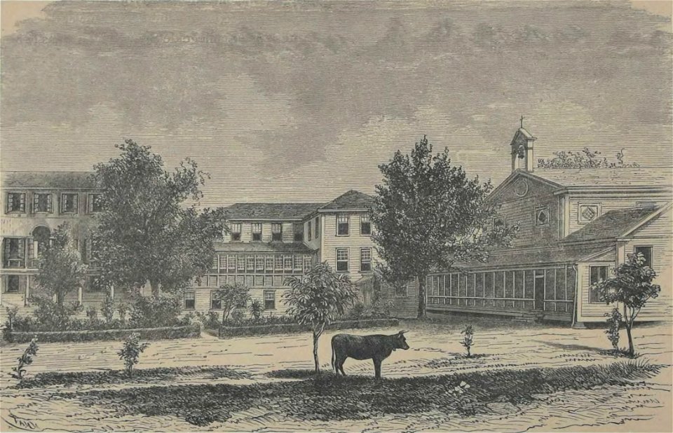 Société de Saint-Augustin - Album des missions catholiques (page 130 crop)