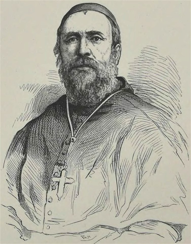 Société de Saint-Augustin - Album des missions catholiques (page 41 crop 4)