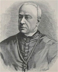 Société de Saint-Augustin - Album des missions catholiques (page 80 crop)