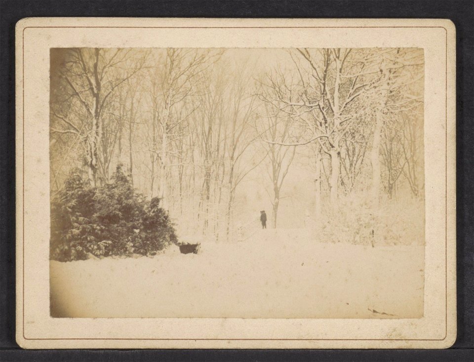 Sneeuw in het Vondelpark, bij de eerste brug, Afb ANWZ00442000001
