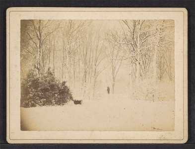 Sneeuw in het Vondelpark, bij de eerste brug, Afb ANWZ00442000001