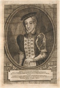 Sofja Manivid (Radzivił). Соф’я Манівід (Радзівіл) (H. Lajbovič, 1758)