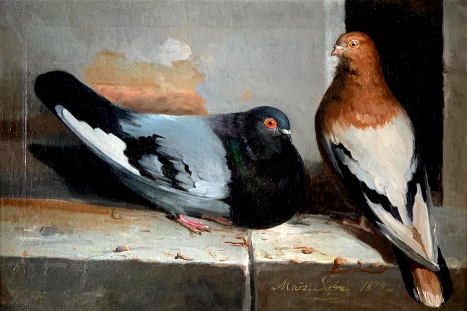 Two Pigeons on a Ledge by Marz Sofra, 1879