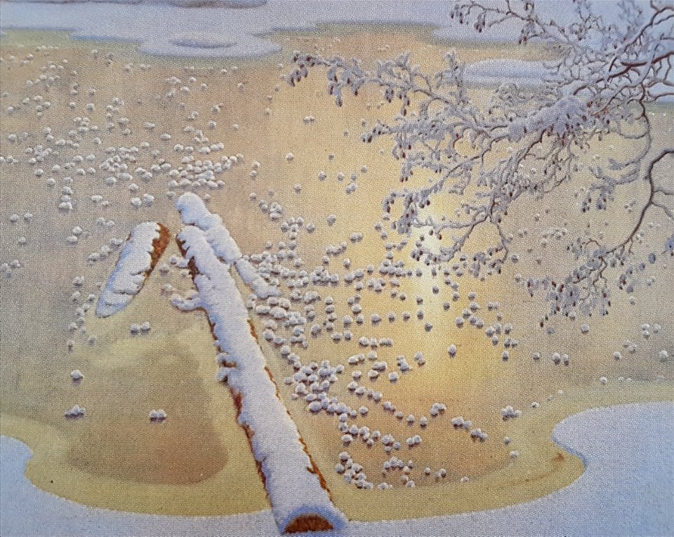 Snökristaller i solbelysning x Gustaf Fjæstad