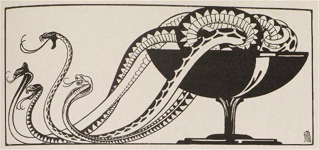 Snakes in the cup