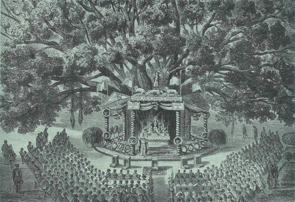 Société de Saint-Augustin - Album des missions catholiques (page 47 crop)