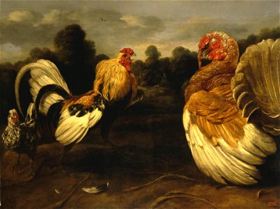 Frans Snyders - Fight of a Rooster and a Turkey Cock. Free illustration for personal and commercial use.