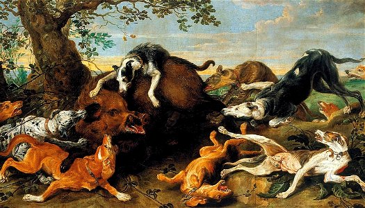Snyders Boar hunting
