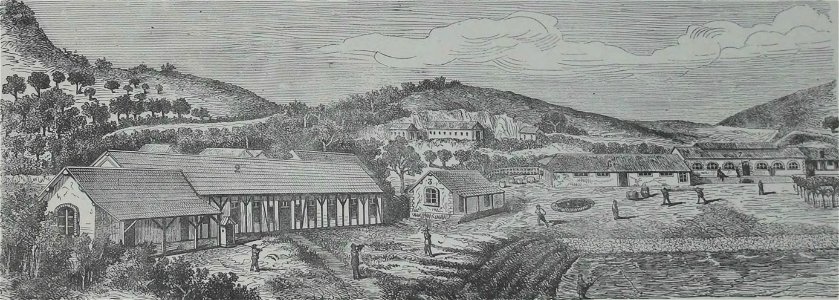 Société de Saint-Augustin - Album des missions catholiques (page 48 crop)