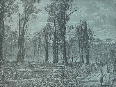 Société de Saint-Augustin - Album des missions catholiques (page 58 crop)