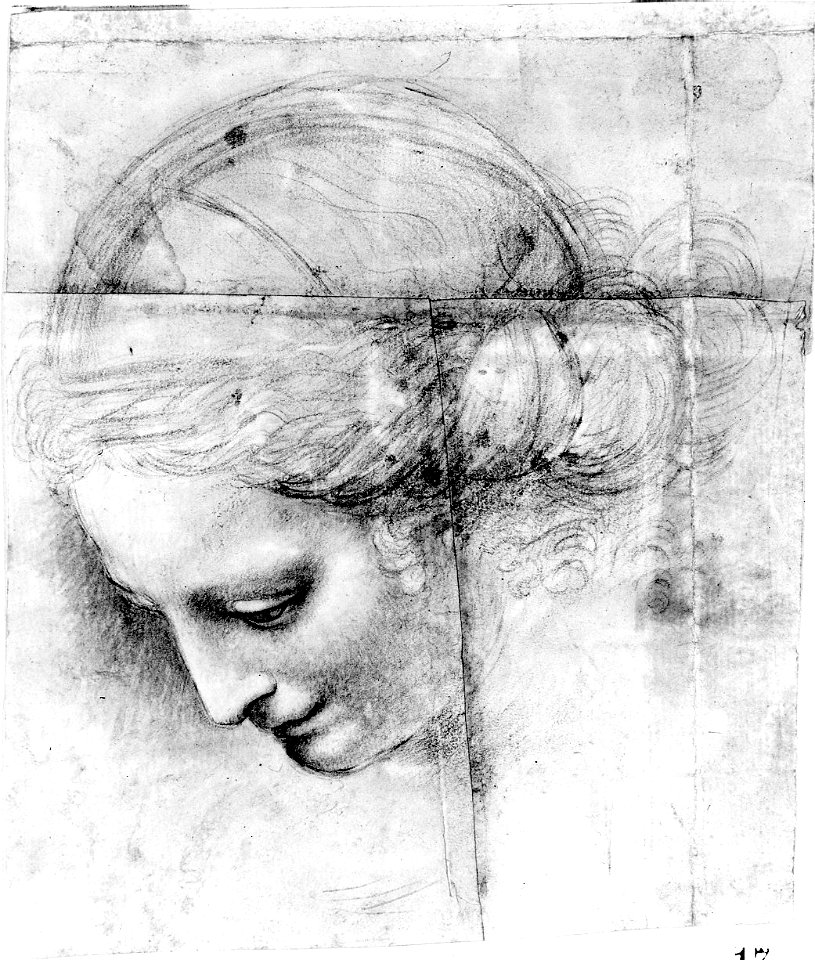 Solario - Head of a Woman, 1550