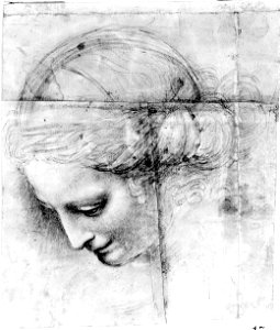 Solario - Head of a Woman, 1550