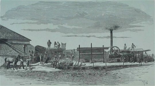 Société de Saint-Augustin - Album des missions catholiques (page 39 crop)