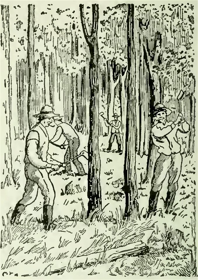 Société Saint-Jean-Baptiste - La corvée (deuxième concours littéraire), 1917 (page 162 crop)