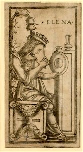 Sola Busca 48 - Queen of Coins