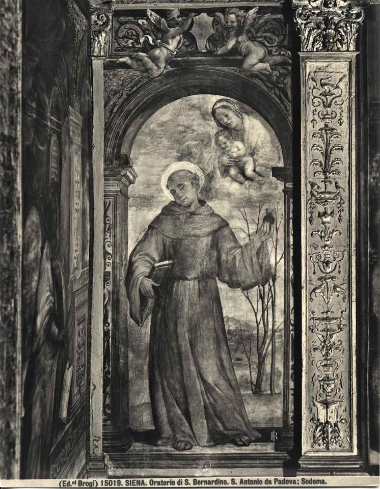 Sodoma, s. antonio da padova
