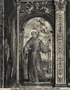 Sodoma, s. antonio da padova