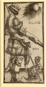 Sola Busca 16 - Olivo