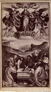 Solario - Campi - Assunzione della Madonna, 1510 - 1524, Certosa di Pavia