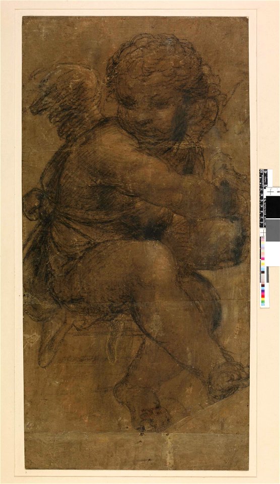 Sodoma - A seated putto holding a jug, 1856,0614.71