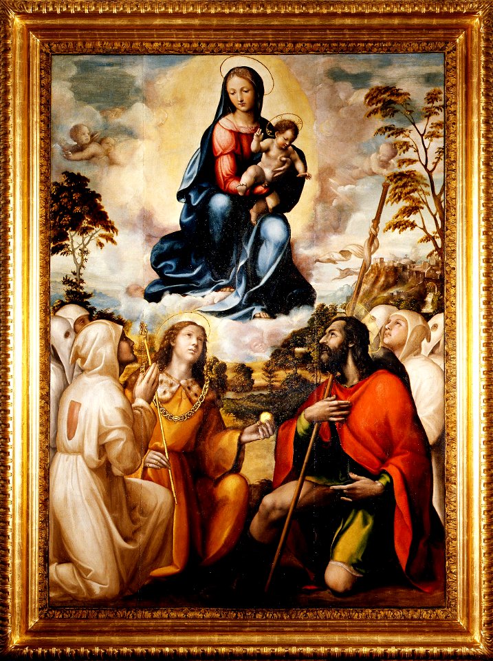 Sodoma - Madonna con Bambino in gloria San Sigismondo, San Rocco, Madonna e membri della confraternita di San Sebastiano, 1525, 1890 n.1590