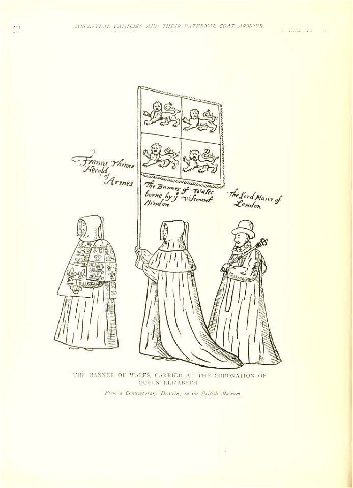 Somefeudalcoatso00fostrich Page 268