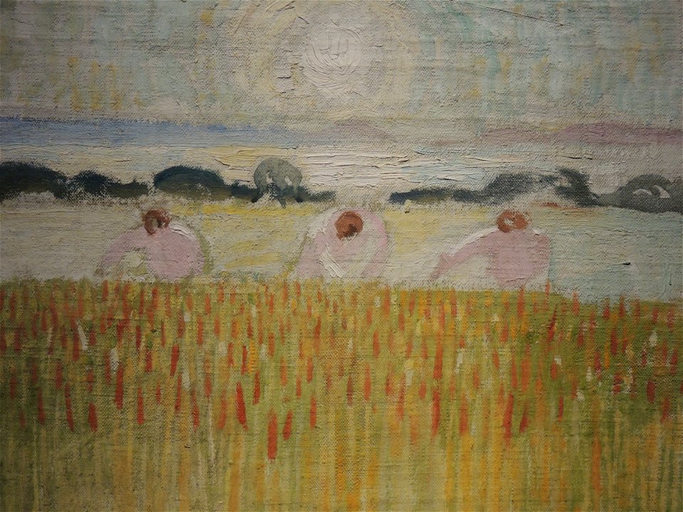 Soleil blanc sur les blés (Denis)