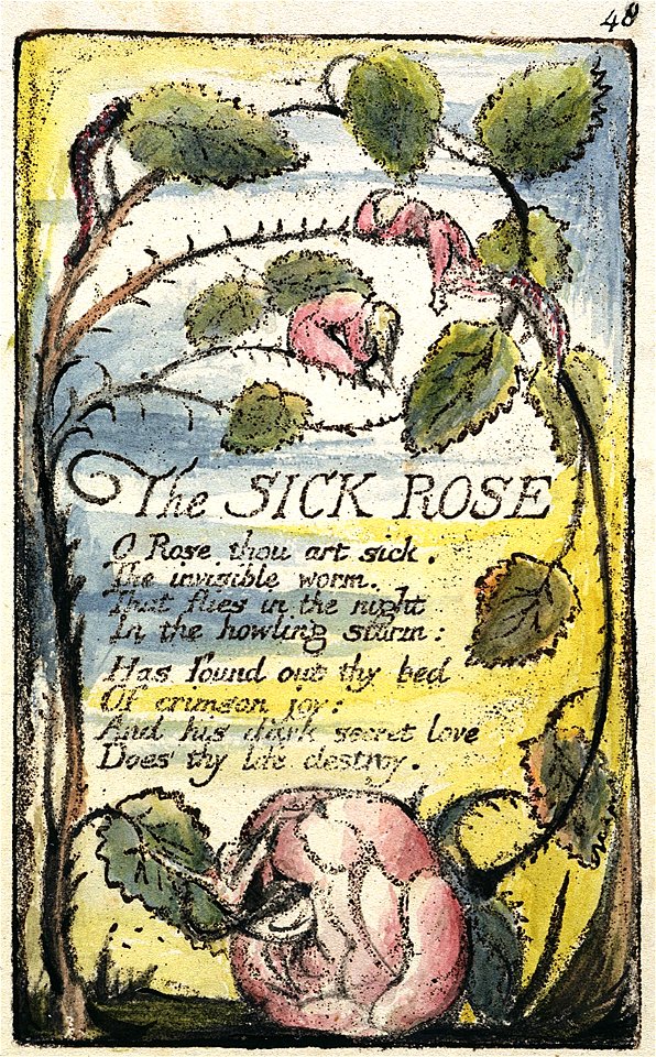 Songs of Innocence and of Experience copy L object 48 The SICK ROSE 1795