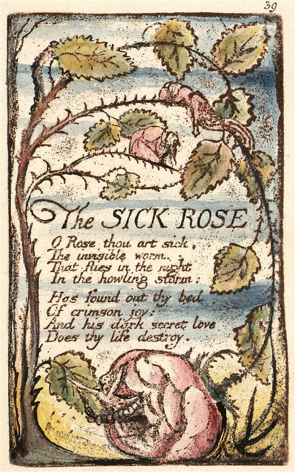 Songs of Innocence and of Experience copy N object 10 The SICK ROSE